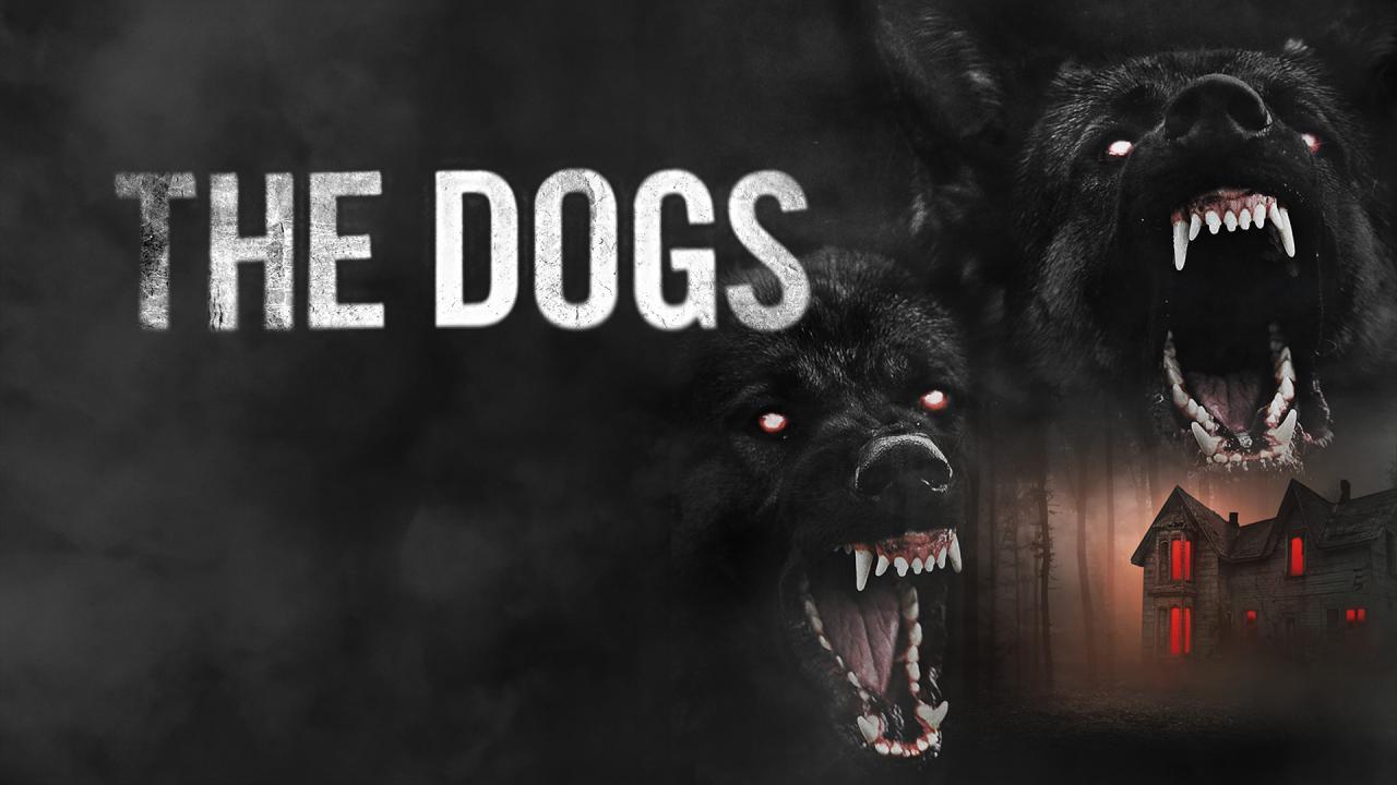 فيلم The Dogs 2025 مترجم